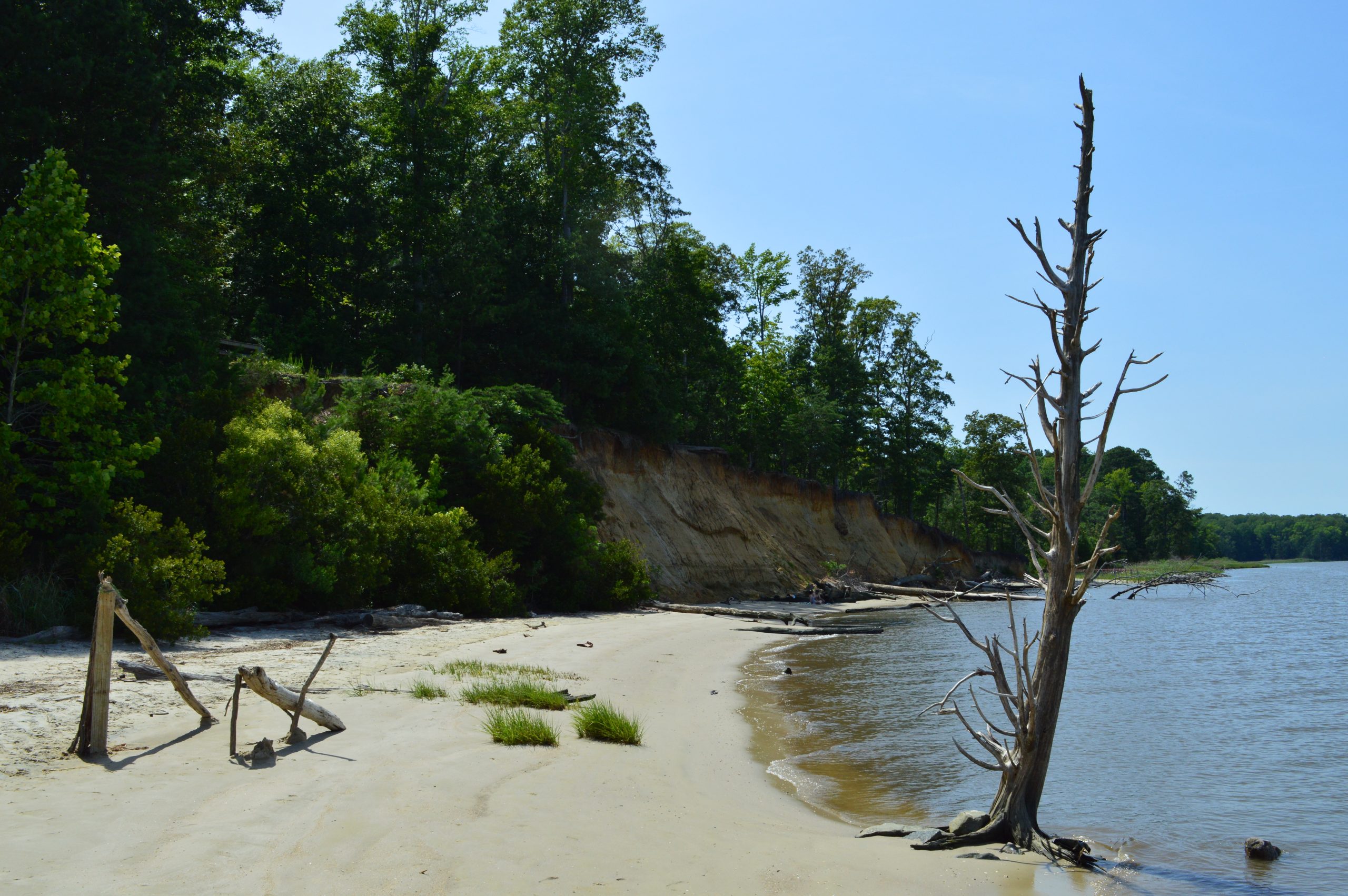 York River State Park Review: Beautiful But Flawed