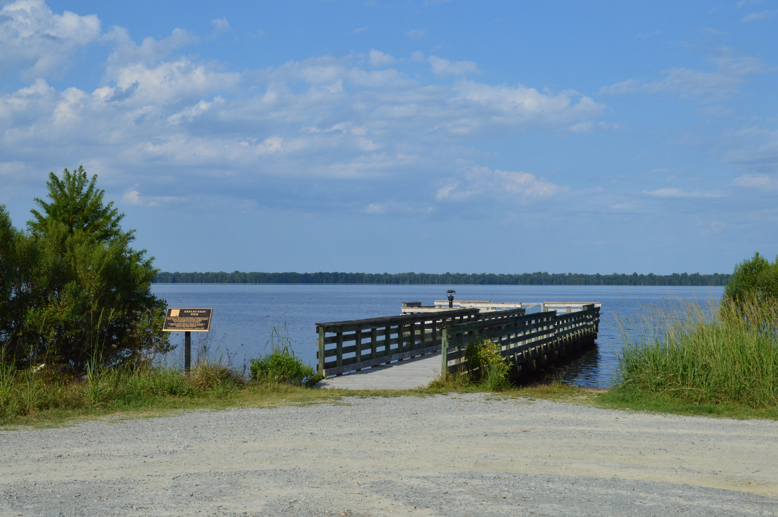 Should You Visit VA’s or NC’s Great Dismal Swamp